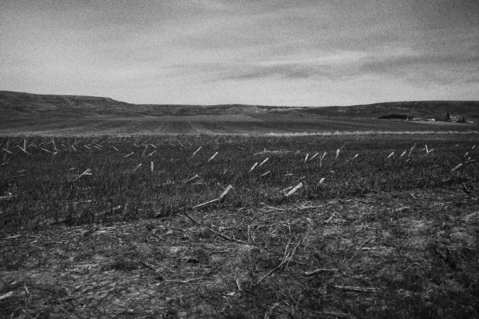 campo Paredes de Siguenza fotografia paisaje sagrado Juan de la Cruz poesia