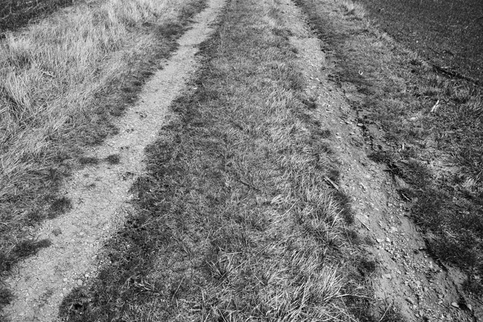 campo Paredes de Siguenza fotografia paisaje sagrado Juan de la Cruz poesia