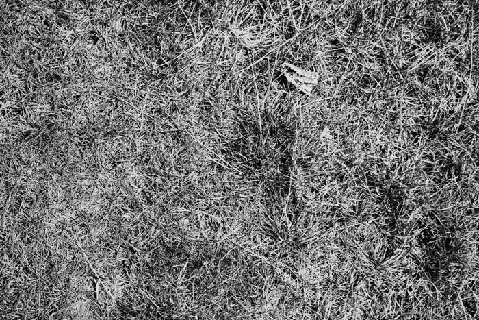 campo Paredes de Siguenza fotografia paisaje sagrado Juan de la Cruz poesia