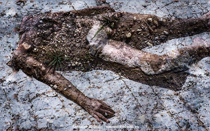 cuerpo de hombre muerto en descomposición sobre piedra al sol