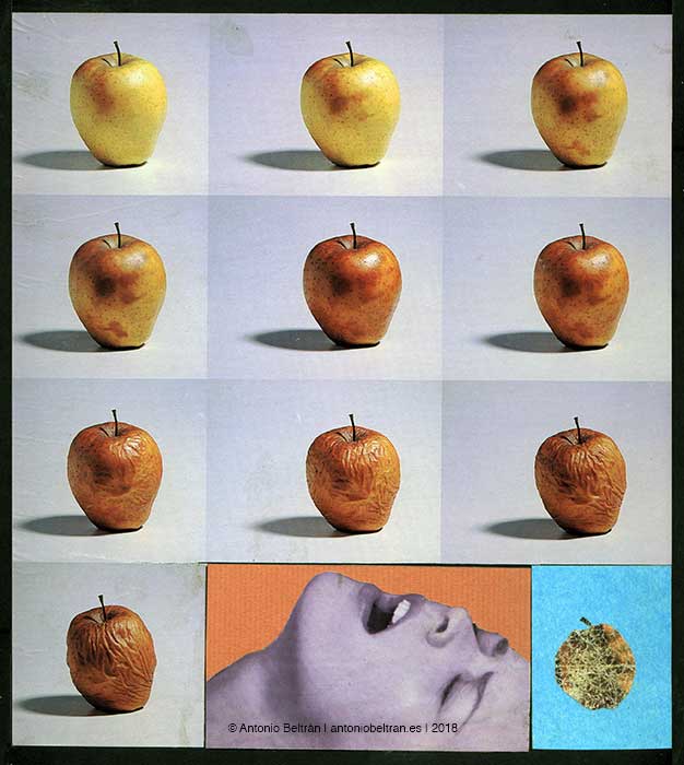 fases putrefaccion de manzana orgasmo erotica collage poesia arte antonio beltran