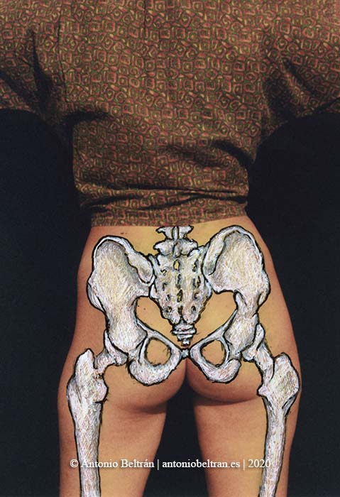 culo femenino huesos erotica desnudo collage dibujo poesia arte anatomia antonio beltran