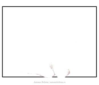 Dibujo