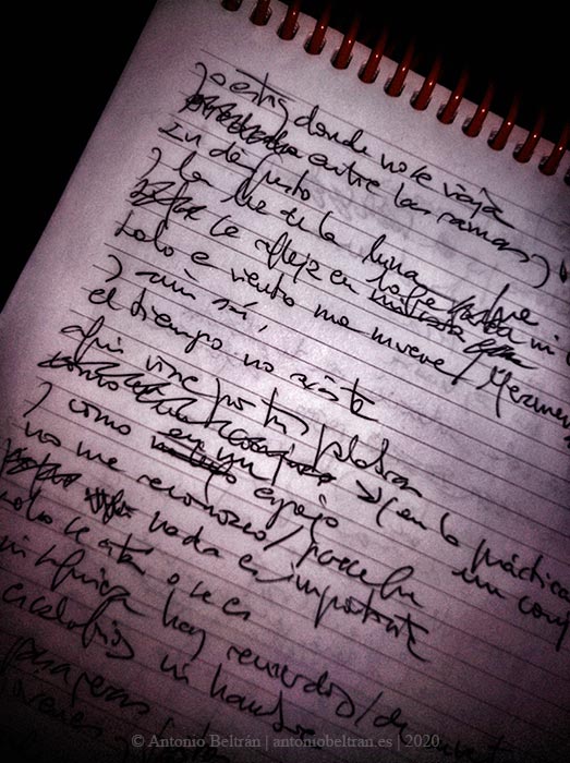 Los gusanos fotografia escrita poesia Antonio Beltran