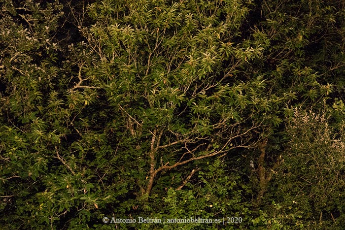 Estoy donde no se viaja fotografa naturaleza lucaris poesia Antonio Beltran