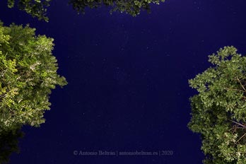 cielo nocturno arboles fotografia poesia lucaris Antonio Beltran