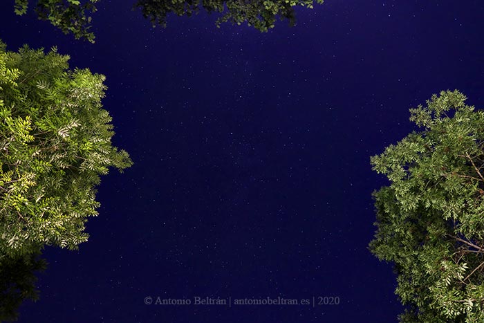 Se perdio la voz fotografia naturaleza poesia lucaris Antonio Beltran 