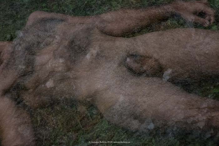 cuerpo hombre desnudo sueo naturaleza fotografia desnudo emboscado collage poesia arte antonio beltran