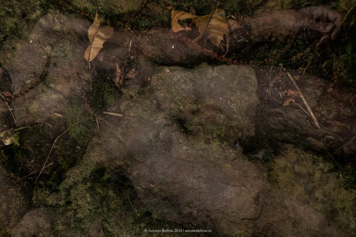 cuerpo hombre desnudo naturaleza fotografia collage poesia arte antonio beltran