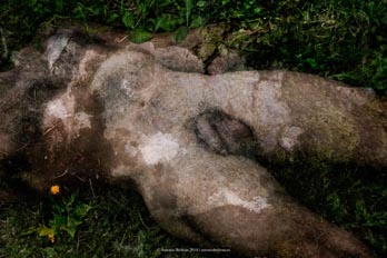 cuerpo hombre desnudo emboscado hierba campo naturaleza erotica autorretrato collage fotografia poesia antonio beltran