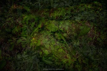 cuerpo hombre desnudo emboscado hierba campo naturaleza erotica autorretrato collage fotografia poesia antonio beltran
