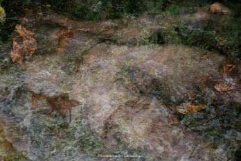 cuerpo hombre desnudo emboscado hierba campo naturaleza erotica autorretrato collage fotografia poesia antonio beltran