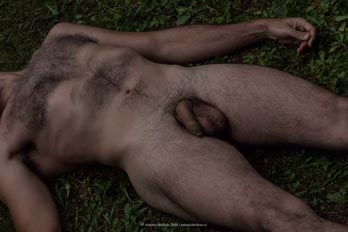 cuerpo hombre desnudo emboscado hierba campo naturaleza erotica autorretrato collage fotografia poesia antonio beltran